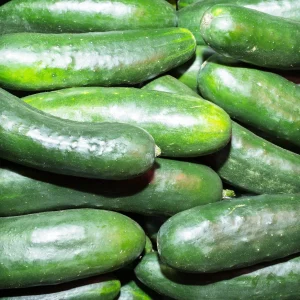 Pepino por kg