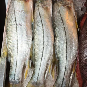Róbalo Filete por 1Kg